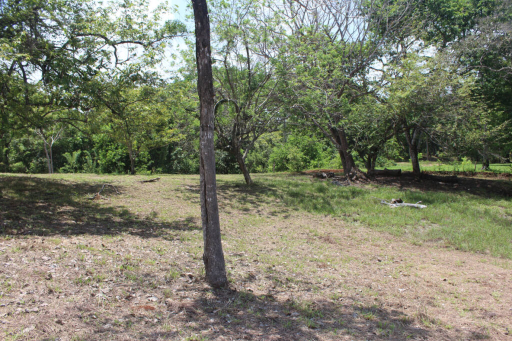 (12A)3