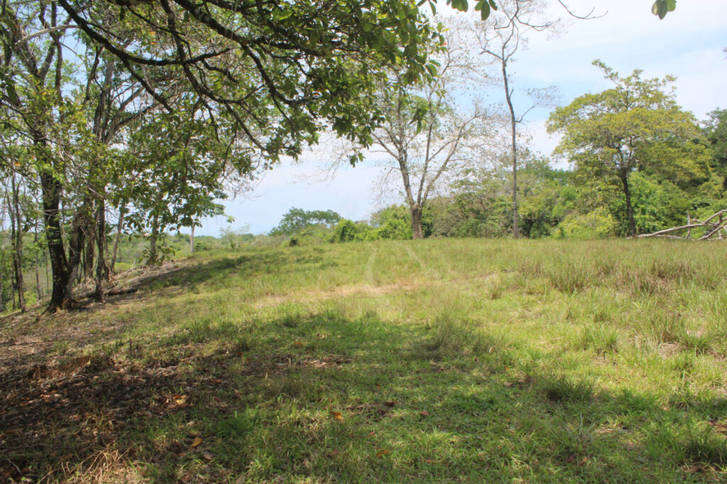 Lindavista2