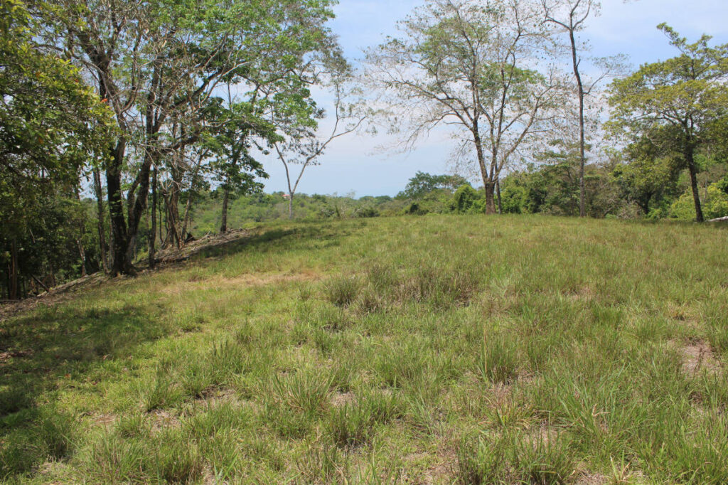 Lindavista3