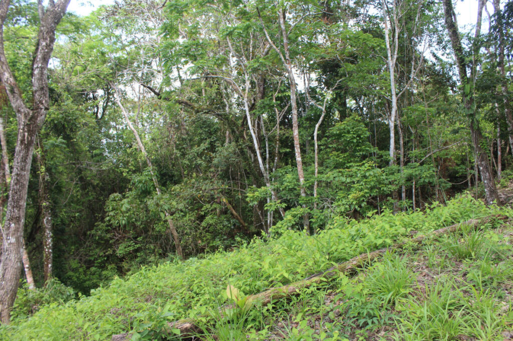 Río(4)